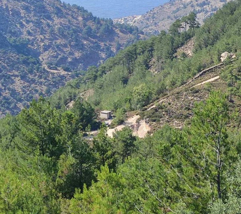Photo of Outdoor in Raches