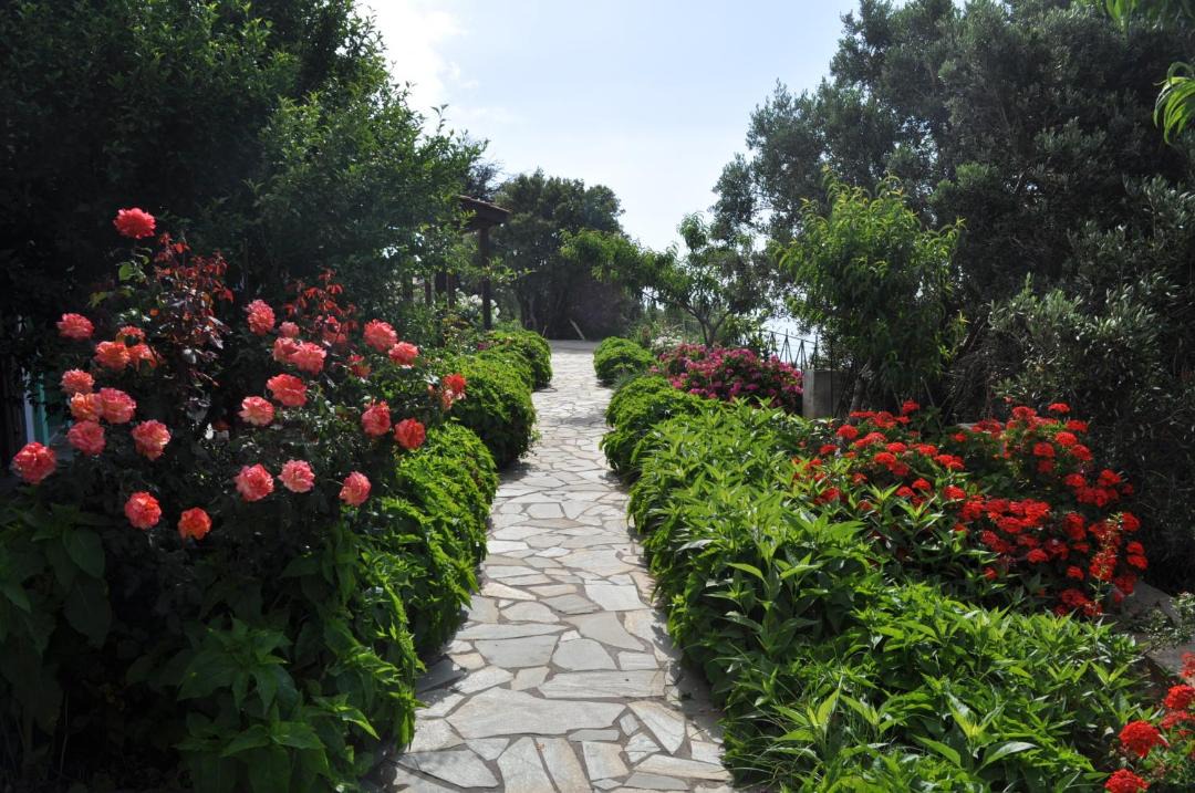 Photo of Others in Ikaria