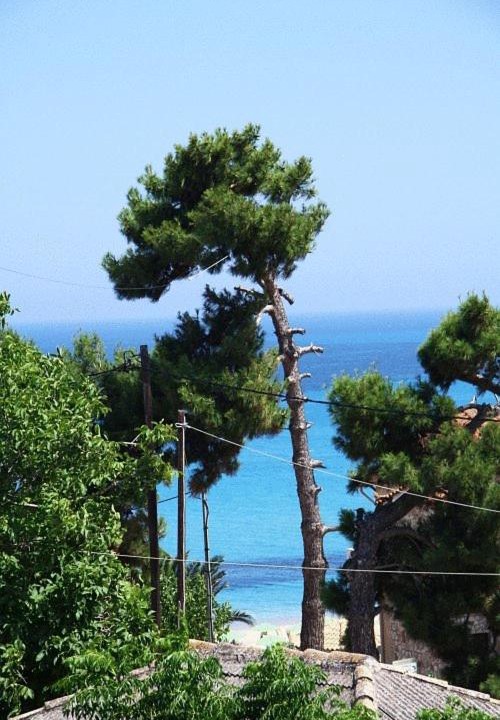 Photo of Others in Skala