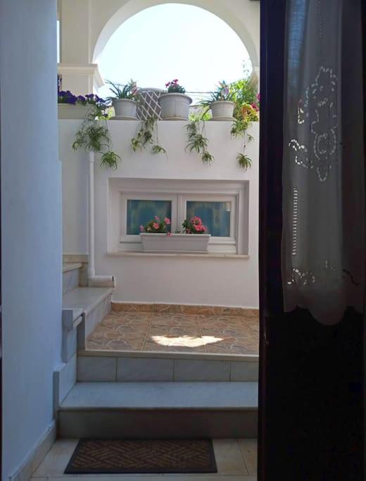 Photo of Others in Pylos