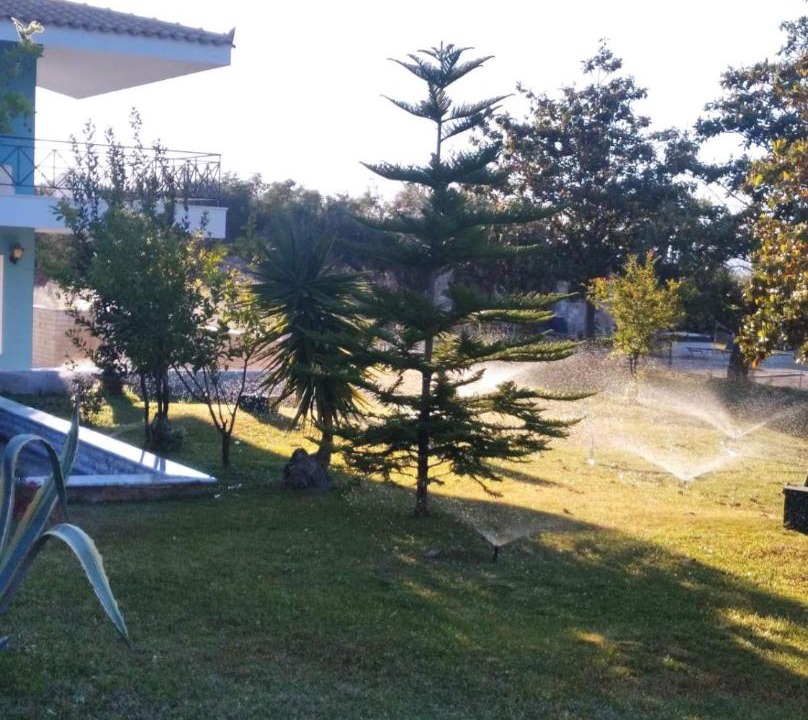 Photo of Others in Chalcis
