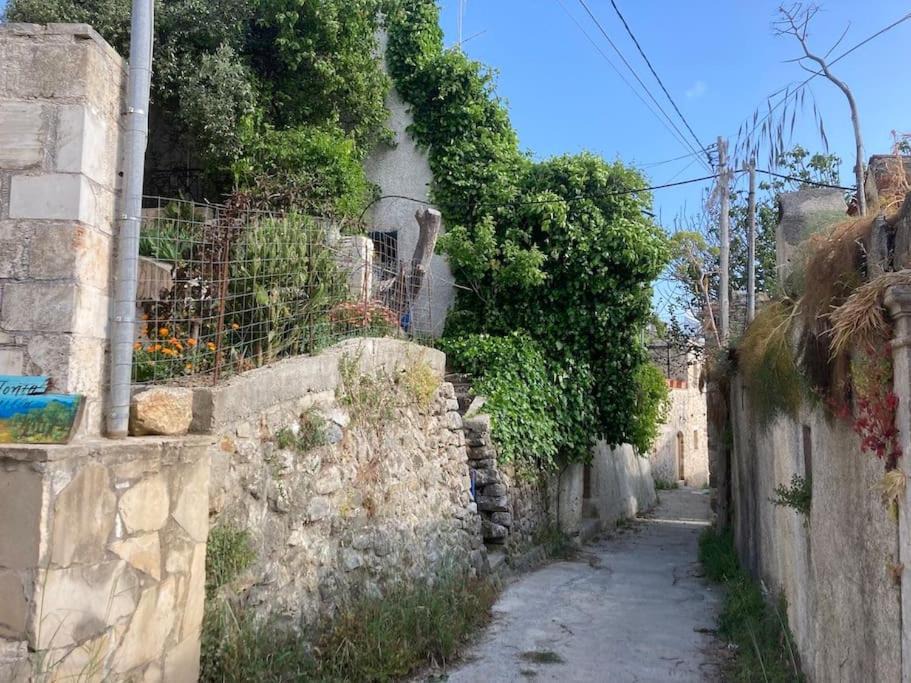 Photo of Others in Armenoi