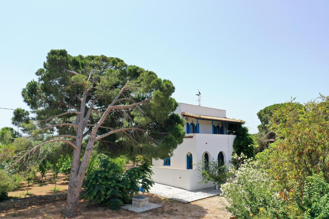 Photo of Others in Agrilos
