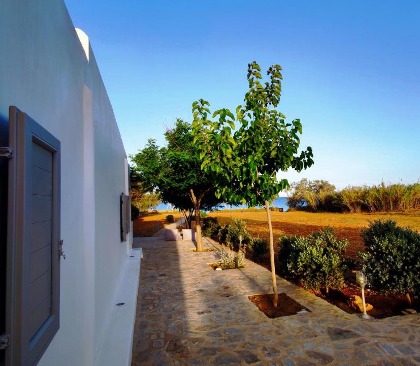 Photo of Others in Antiparos