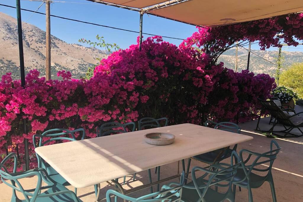 Photo of Patio Balcony in Aetos