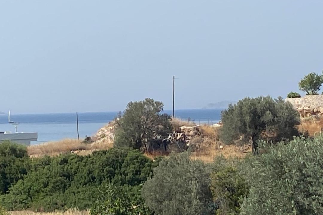 Photo of Others in Milos