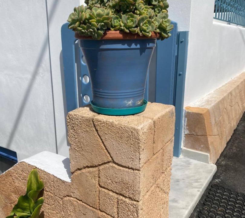 Photo of Others in Milos