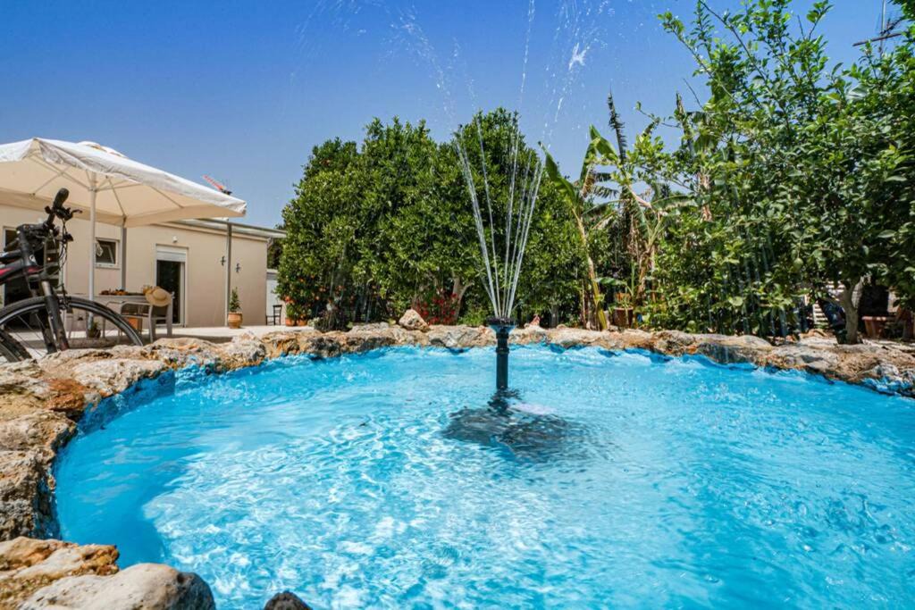 Photo of Outdoor in Agia