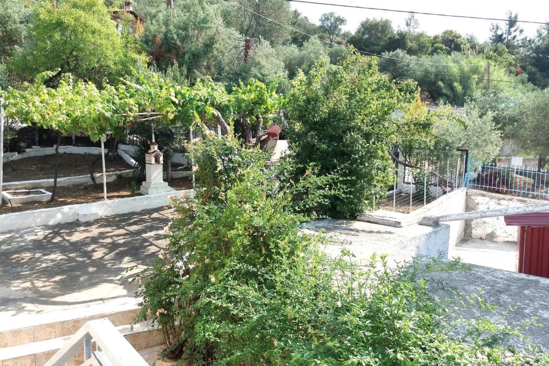 Photo of Others in Palaio Tsifliki