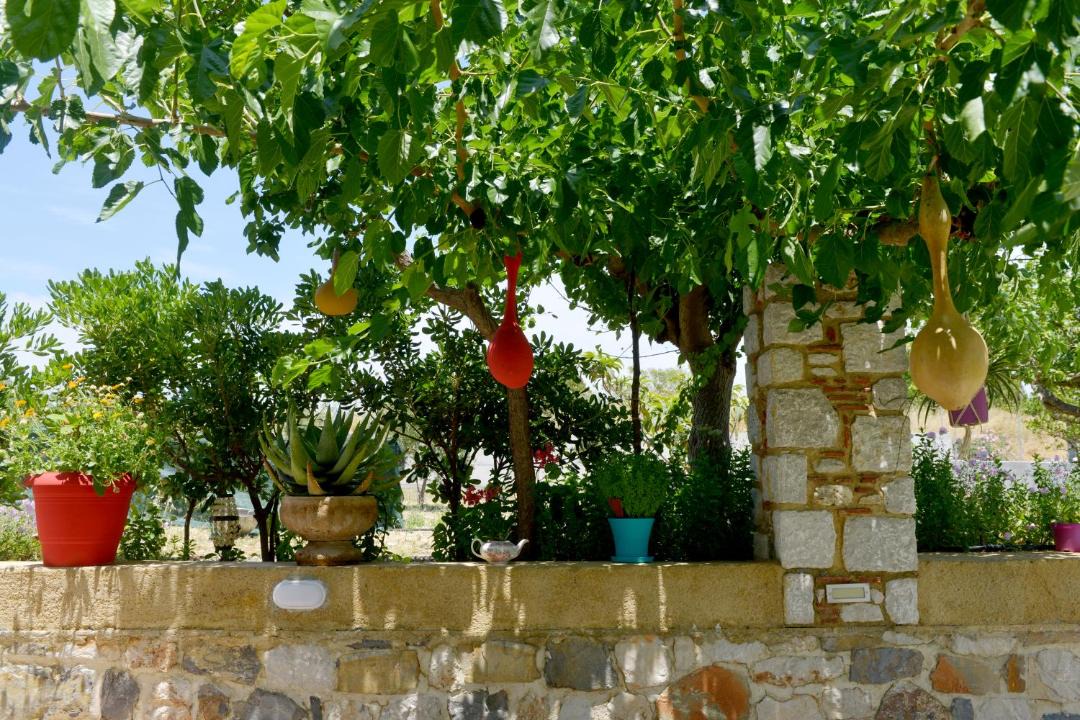 Photo of Others in Faliraki