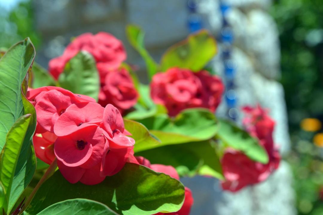 Photo of Outdoor in Faliraki