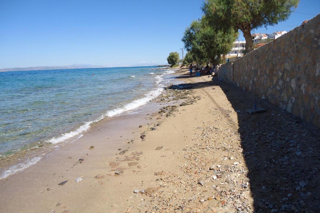 Photo of Others in Milos