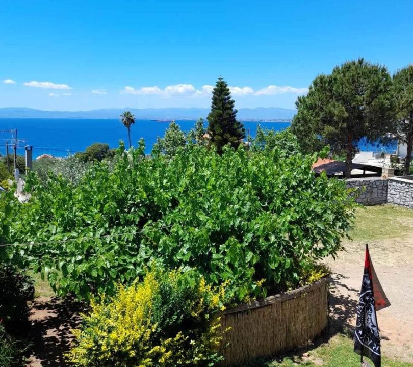 Photo of Others in Mikri Mantineia