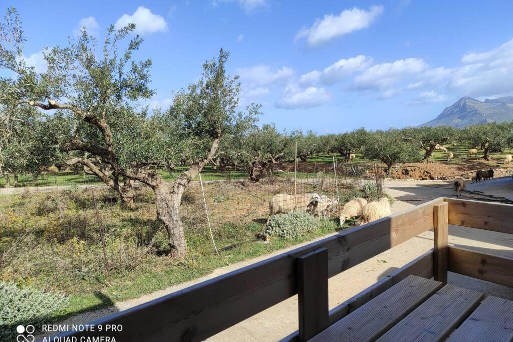 Photo of Others in Limeniskos