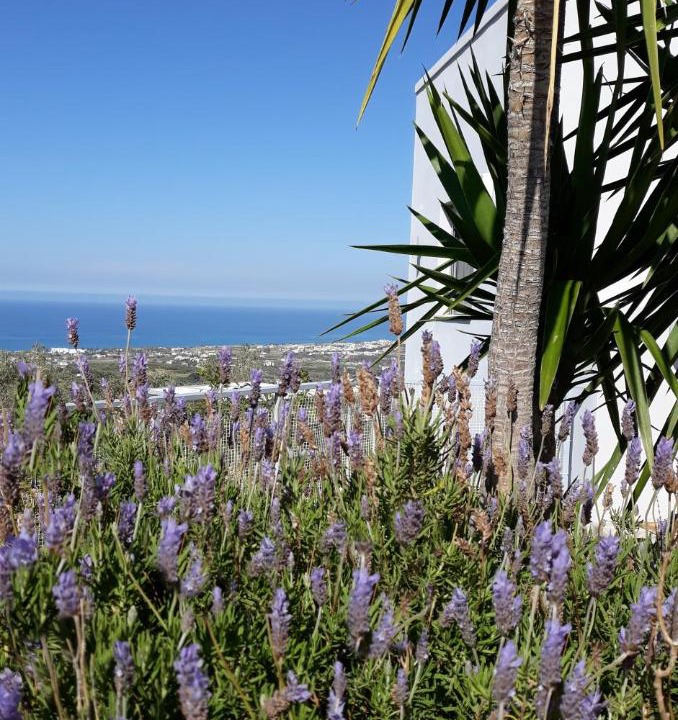 Photo of Others in Xiro Chorio