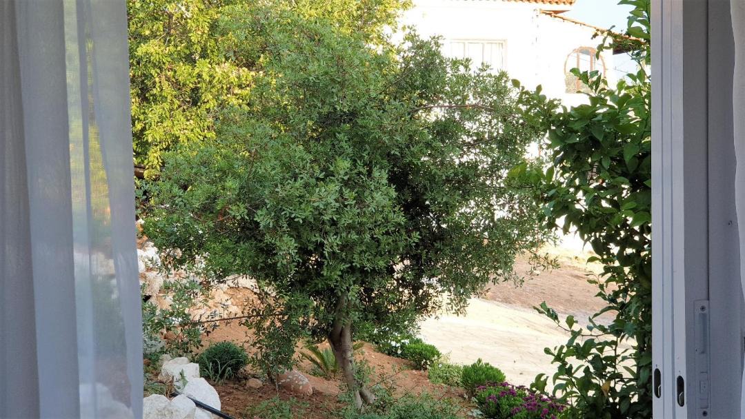 Photo of Others in Loutraki-Agioi Theodoroi