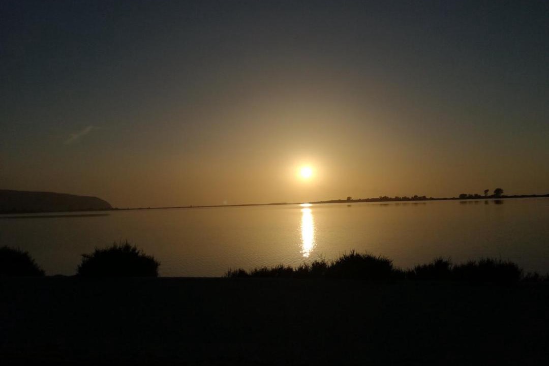 Photo of Others in Lygia