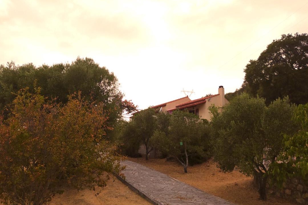 Photo of Others in Leivathos