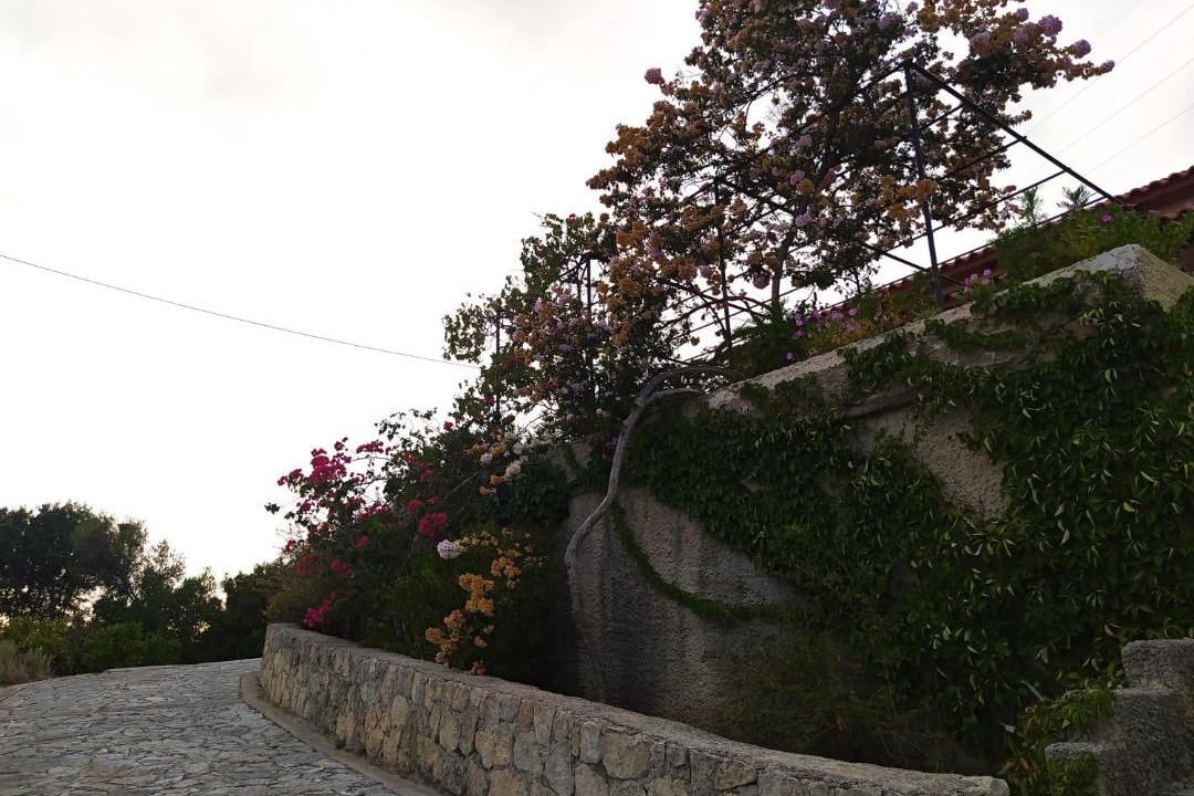 Photo of Others in Leivathos