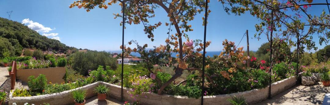 Photo of Others in Leivathos
