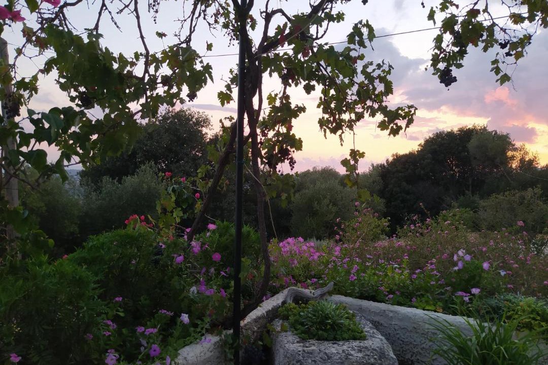 Photo of Others in Leivathos