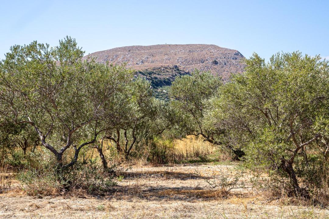 Photo of Outdoor in Vasilopoulo