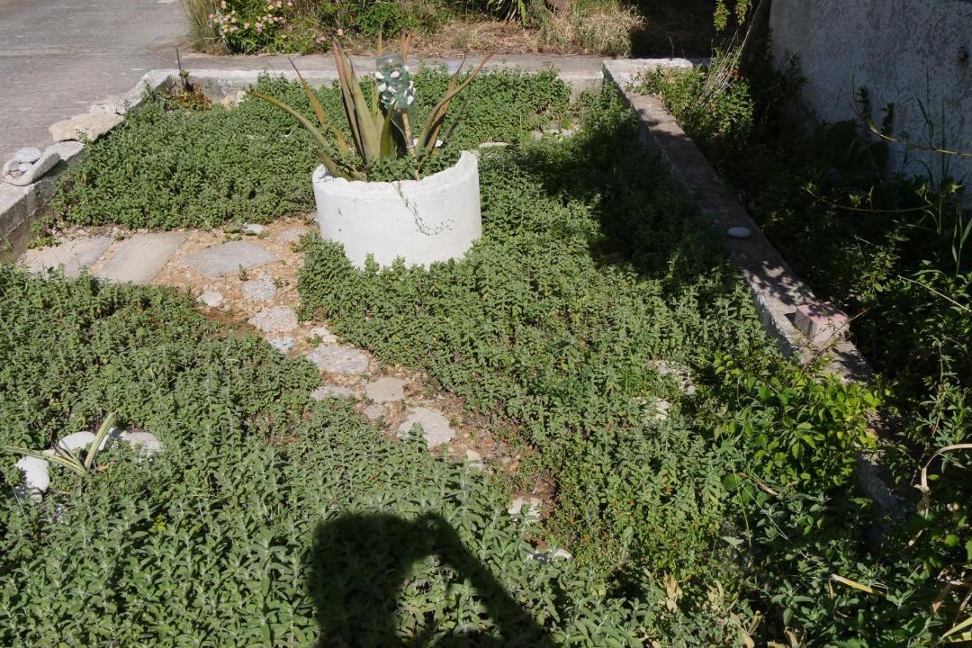 Photo of Others in Kallithea