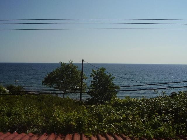 Photo of Others in Agia