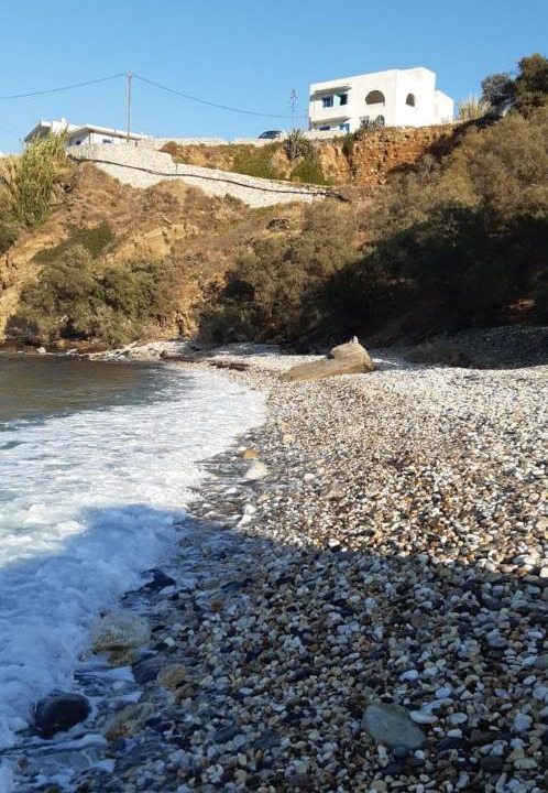 Photo of Others in Apollonas