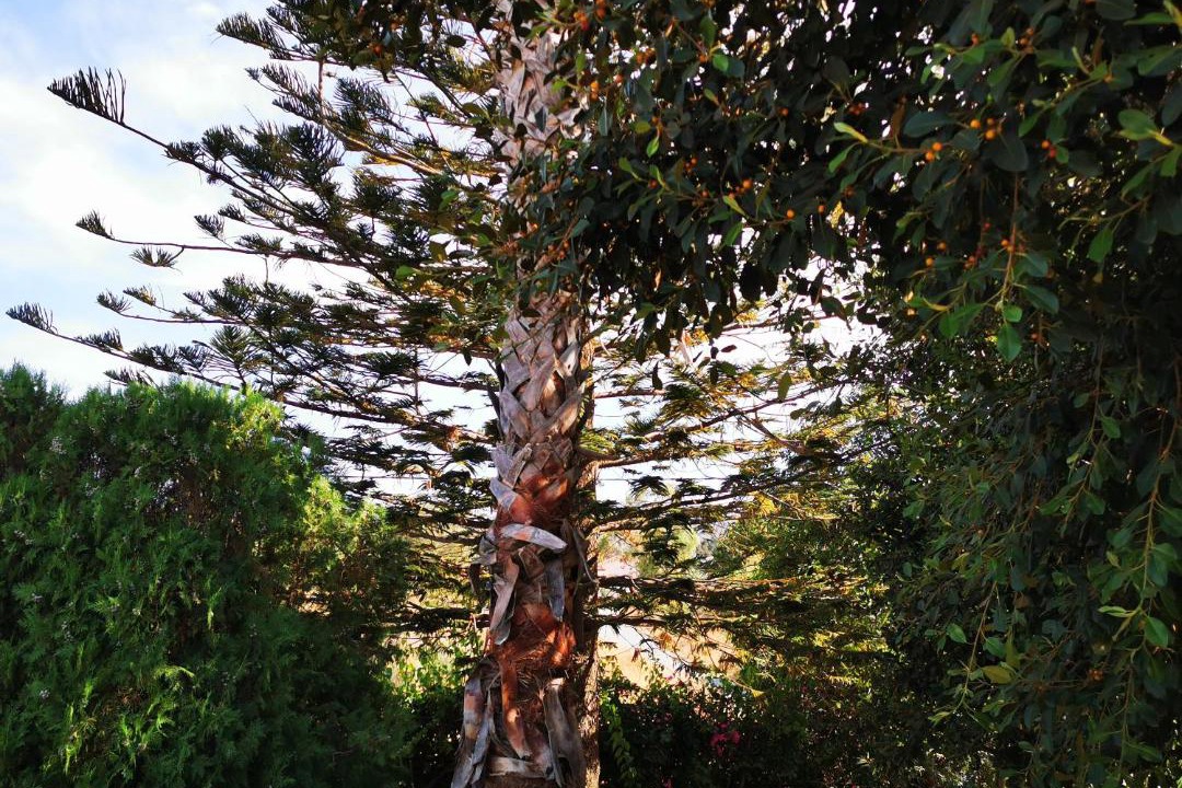 Photo of Outdoor in Tingaki