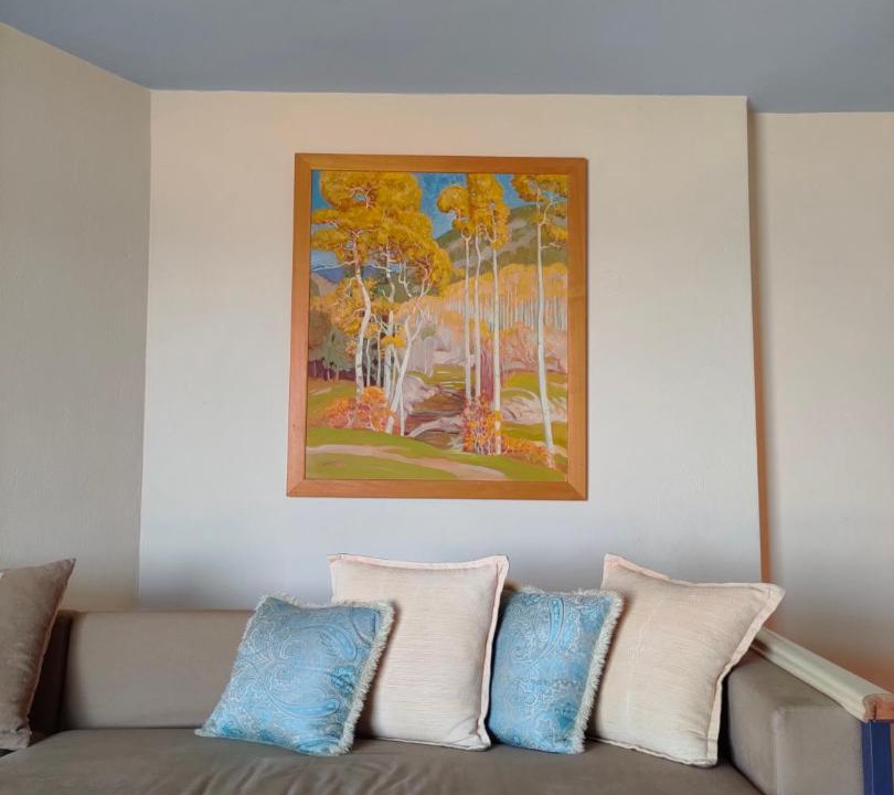 Photo of Livingroom in Agia
