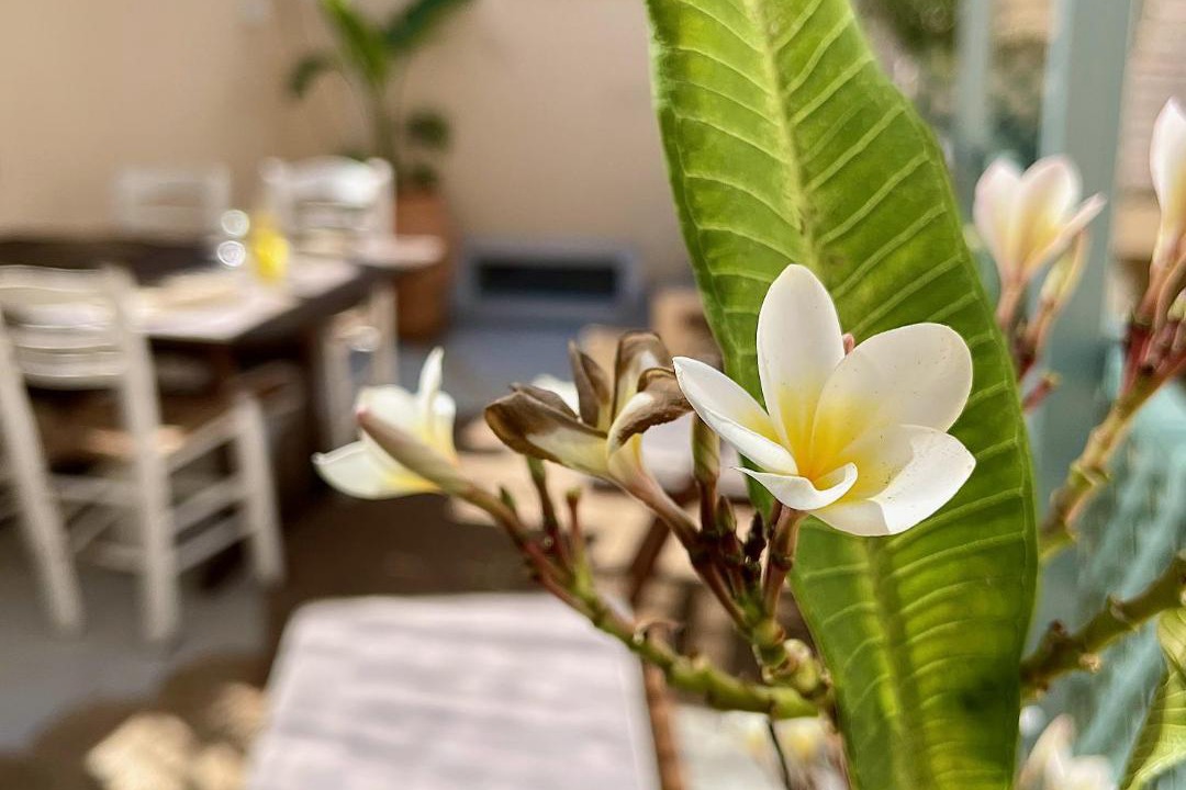 Photo of Patio Balcony in Rhodes