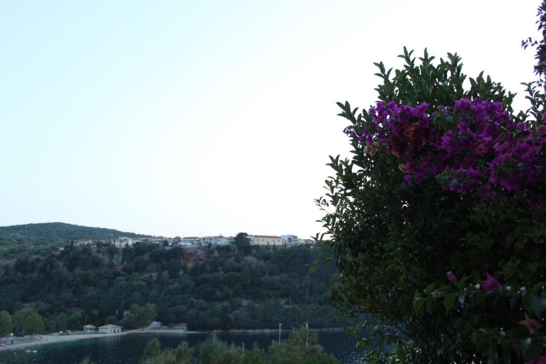 Photo of Others in Spartochori