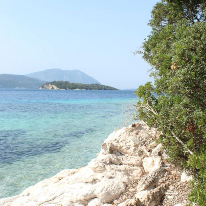 Photo of Others in Spartochori