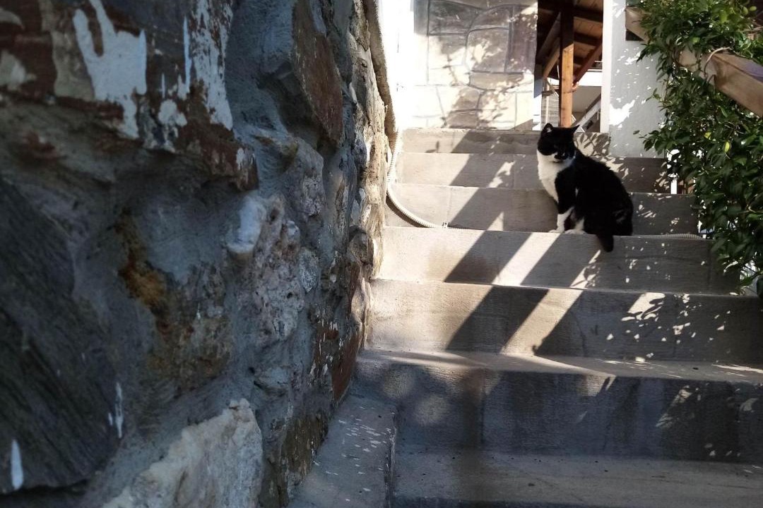Photo of Others in Agios Nikolaos