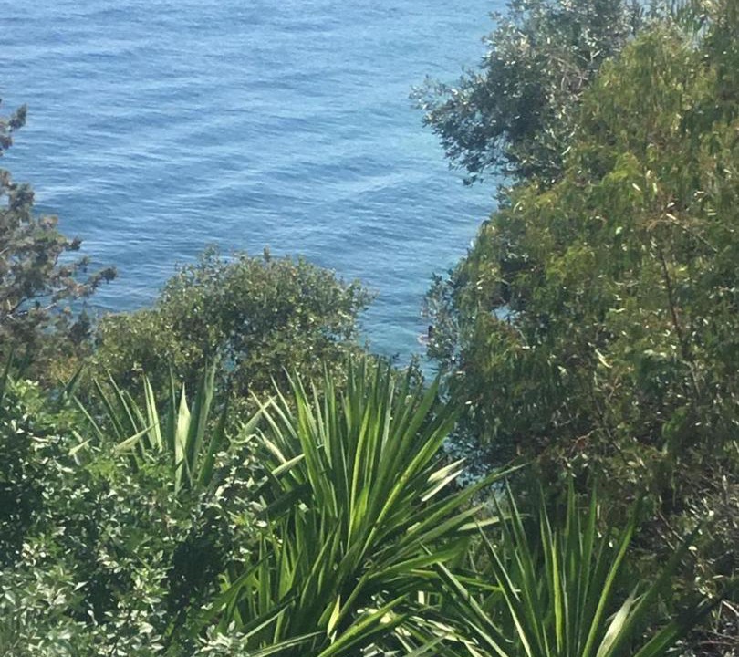 Photo of Outdoor in Agios Stefanos