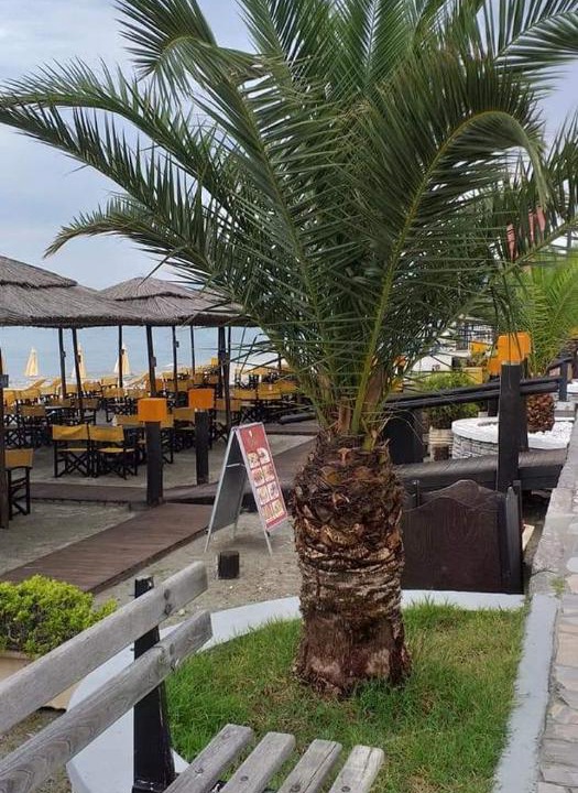 Photo of Outdoor in Leptokaria
