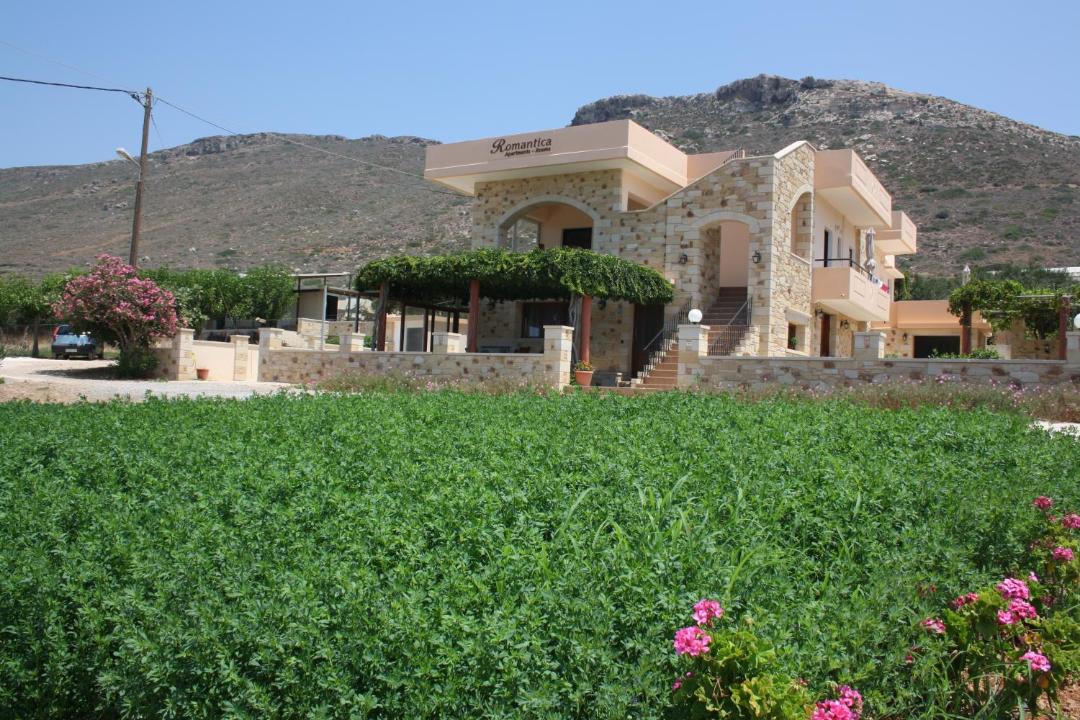 Photo of Others in Falassarna