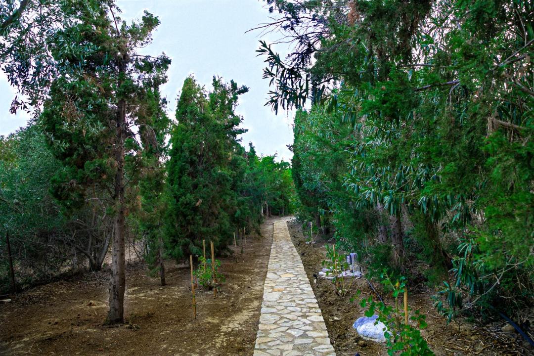 Photo of Others in Vounaria