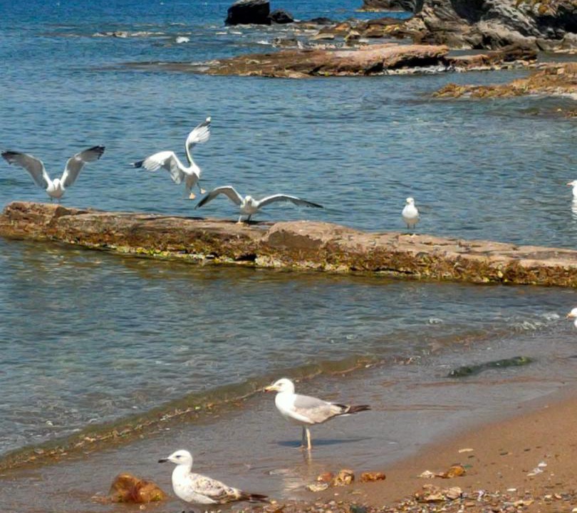 Photo of Outdoor in Legrena