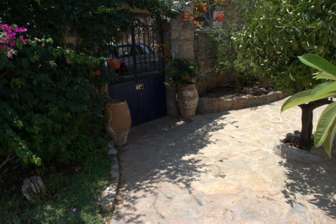 Photo of Others in Katsikia