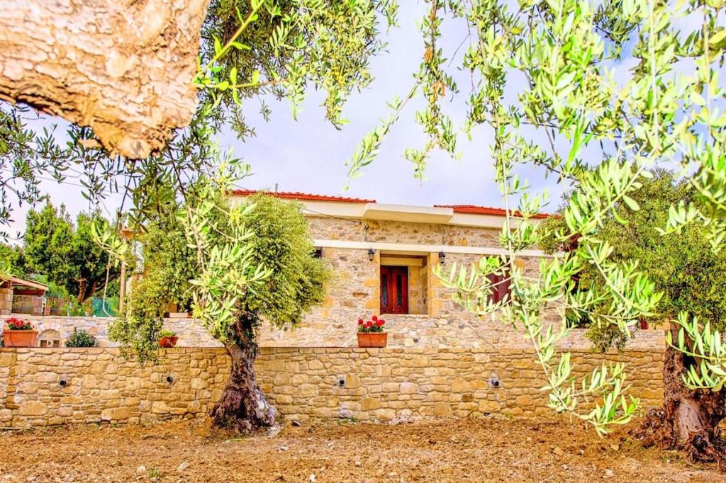 Photo of Buildings in Pervolakia
