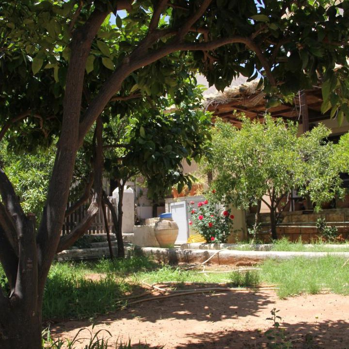 Photo of Others in Stalida