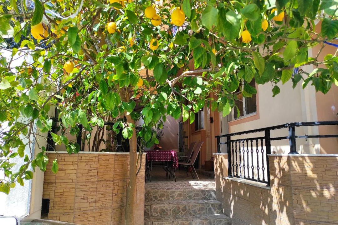Photo of Others in Afandou