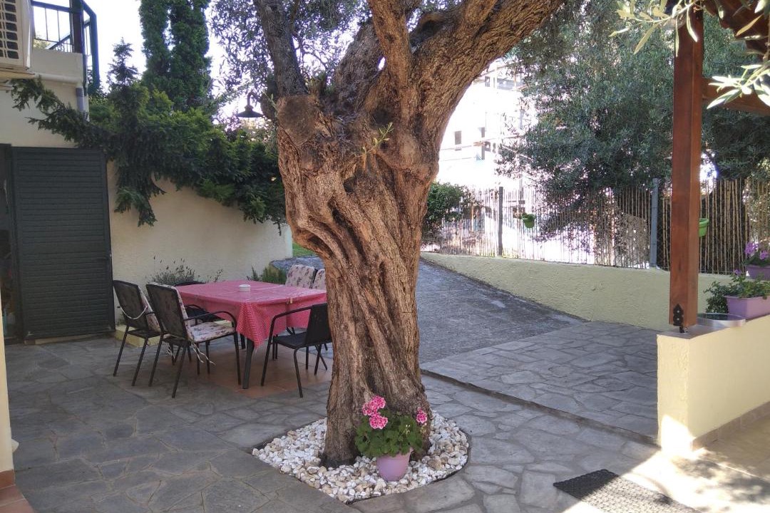 Photo of Others in Sithonia