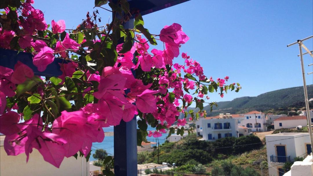 Photo of Others in Agia Pelagia