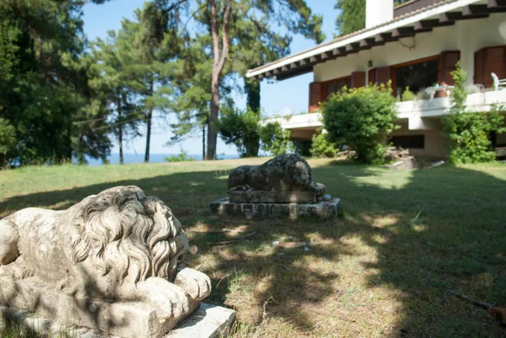 Photo of Others in Platamonas
