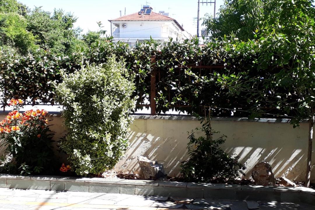 Photo of Others in Dio-Olympos