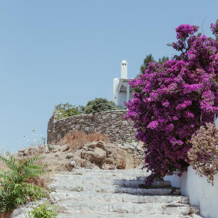 Photo of Others in Mykonos
