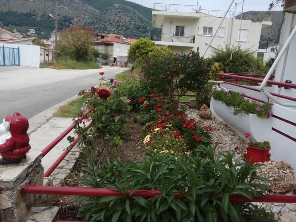 Photo of Others in Plataria